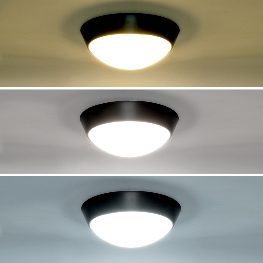 Brilagi - LED Vanjska zidna svjetiljka 2u1 BULKHEAD LED/20W/230V 3000/4000/6000K IP65