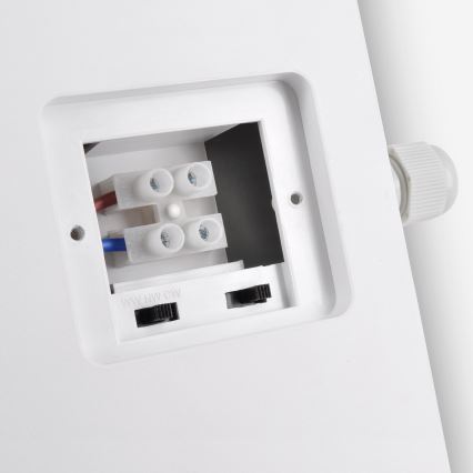 Brilagi - LED Vanjska zidna svjetiljka 2u1 BULKHEAD LED/20W/230V 3000/4000/6000K IP65