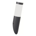 Brilagi - LED vanjska zidna svjetiljka ELIA 1xE27/7W/230V 4000K IP44 antracit