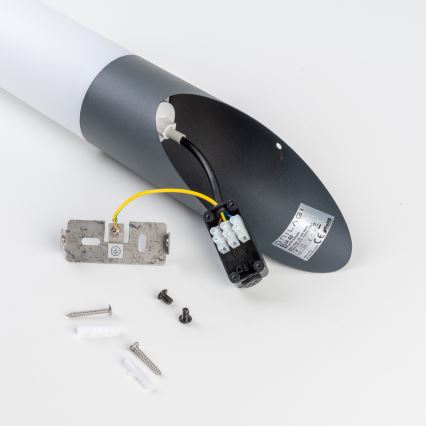 BRILAGI - LED vanjska zidna svjetiljka ELIA 1xE27/7W/230V 4000K IP44 antracit