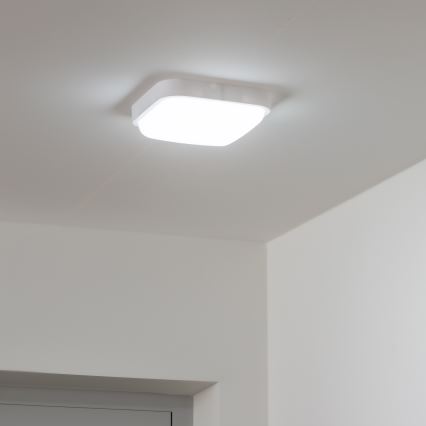 Brilagi - LED Vanjska zidna svjetiljka LED/20W/230V IP54