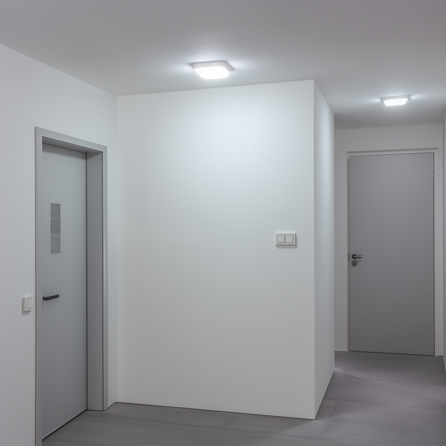 Brilagi - LED Vanjska zidna svjetiljka LED/20W/230V IP54