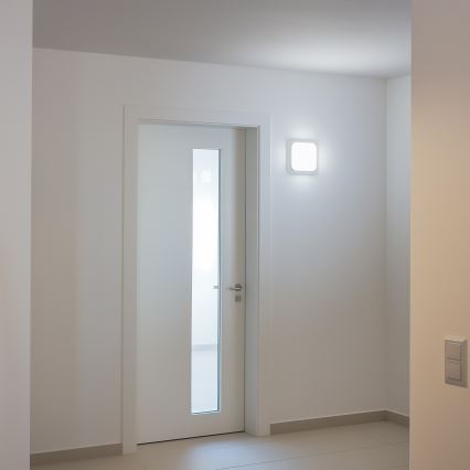 Brilagi - LED Vanjska zidna svjetiljka LED/20W/230V IP54