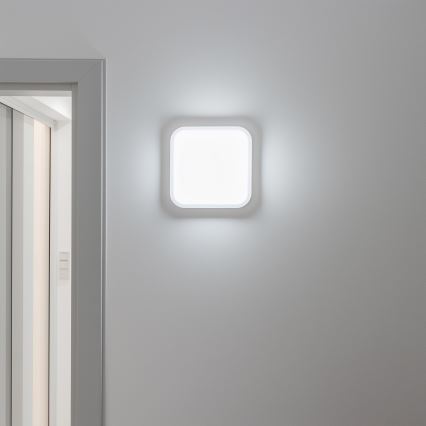 Brilagi - LED Vanjska zidna svjetiljka LED/20W/230V IP54