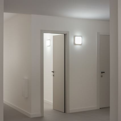 Brilagi - LED Vanjska zidna svjetiljka LED/20W/230V IP54