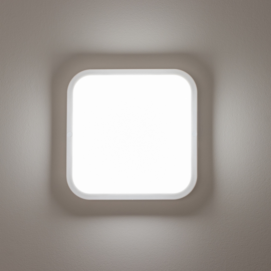 Brilagi - LED Vanjska zidna svjetiljka LED/20W/230V IP54