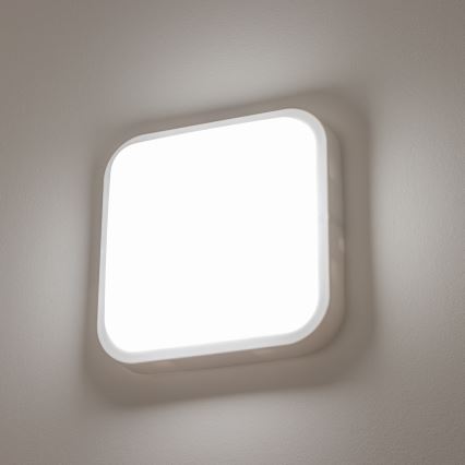 Brilagi - LED Vanjska zidna svjetiljka LED/20W/230V IP54