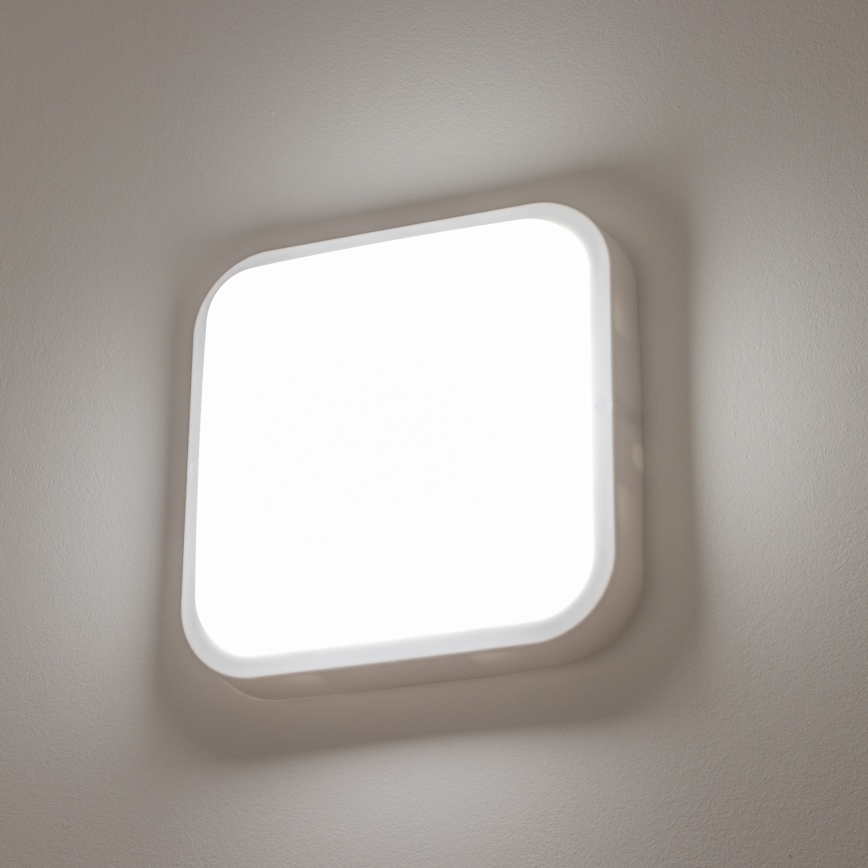 Brilagi - LED Vanjska zidna svjetiljka LED/20W/230V IP54