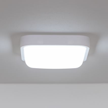 Brilagi - LED Vanjska zidna svjetiljka LED/20W/230V IP54