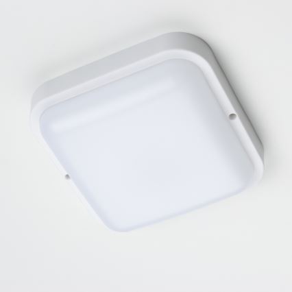 Brilagi - LED Vanjska zidna svjetiljka LED/20W/230V IP54