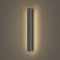 Brilagi - LED vanjska zidna svjetiljka LINEAR LED/12W/230V 3000K IP65 50 cm antracit