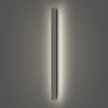 Brilagi - LED vanjska zidna svjetiljka LINEAR LED/22W/230V 4000K IP65 100 cm antracit