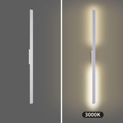 Brilagi - LED vanjsko zidno svjetlo LUNA LED/30W/230V 3000K IP65 150 cm bijela CRI 90