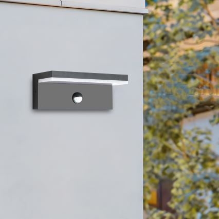 Brilagi - LED vanjsko zidno svjetlo s senzorom TESSI LED/10W/230V antracit IP54