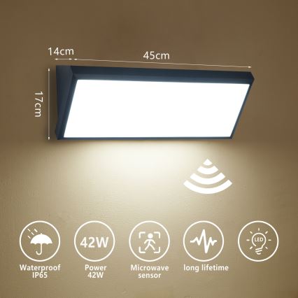 Brilagi - LED vanjsko zidno svjetlo s senzorom TRIANGLE LED/42W/230V 45 cm crno IP65