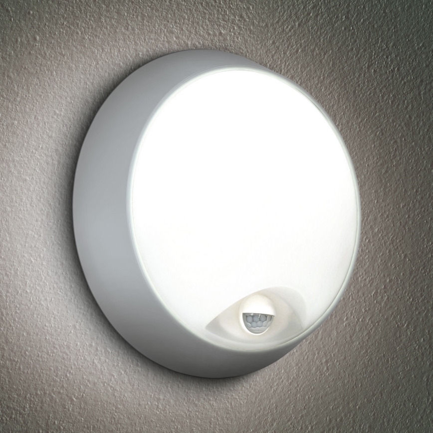Brilagi - LED Vanjska zidna svjetiljka sa senzorom 2u1 BULKHEAD LED/20W/230V IP65