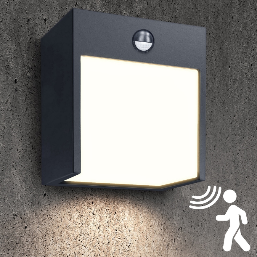 Brilagi - LED Vanjska zidna svjetiljka sa senzorom TERNI LED/12W/230V antracit IP44