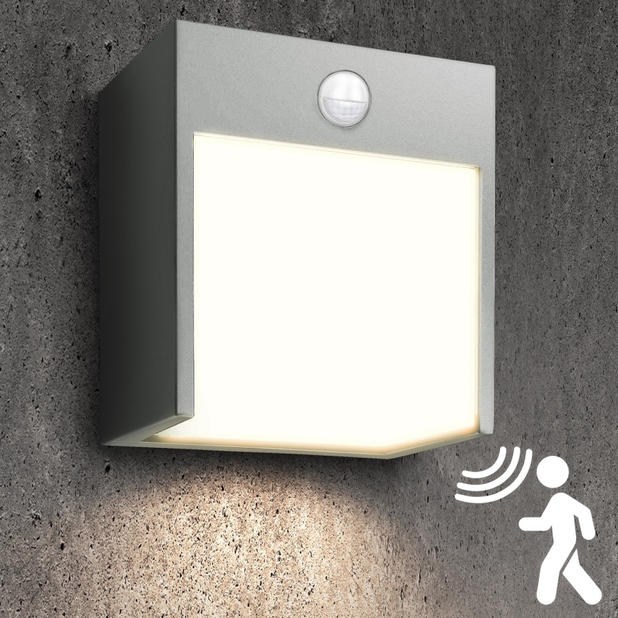 Brilagi - LED Vanjska zidna svjetiljka sa senzorom TERNI LED/12W/230V siva IP44
