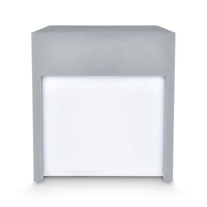 Brilagi - LED Vanjska zidna svjetiljka TERNI LED/12W/230V siva IP44