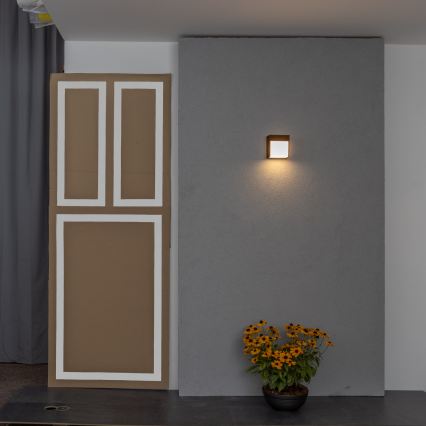 BRILAGI - LED vanjska zidna svjetiljka TERNI LED/12W/230V smeđa IP44