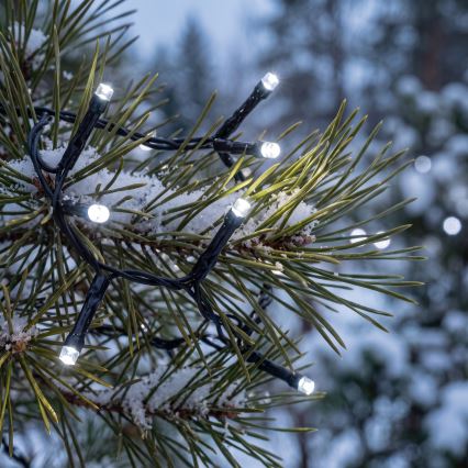 BRILAGI - LED vanjski božićni niz 800xLED 21m IP44 hladno bijela