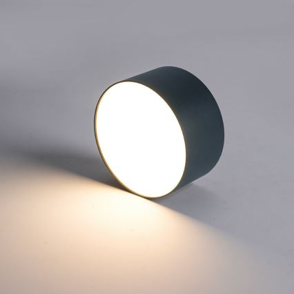 BRILAGI - LED Vanjsko stropno svjetlo FORIS LED/14W/230V Ø 12 cm antracit IP44