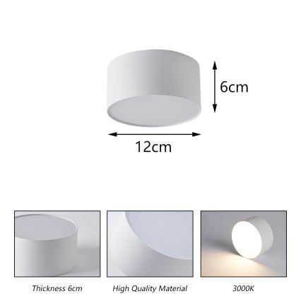 BRILAGI - LED Vanjsko stropno svjetlo FORIS LED/14W/230V Ø 12 cm bijelo IP44