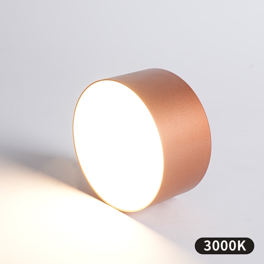 BRILAGI - LED Vanjsko stropno svjetlo FORIS LED/14W/230V Ø 12 cm brončano IP44