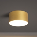 BRILAGI - LED vanjsko stropno svjetlo FORIS LED/14W/230V Ø 12 cm zlatna IP44