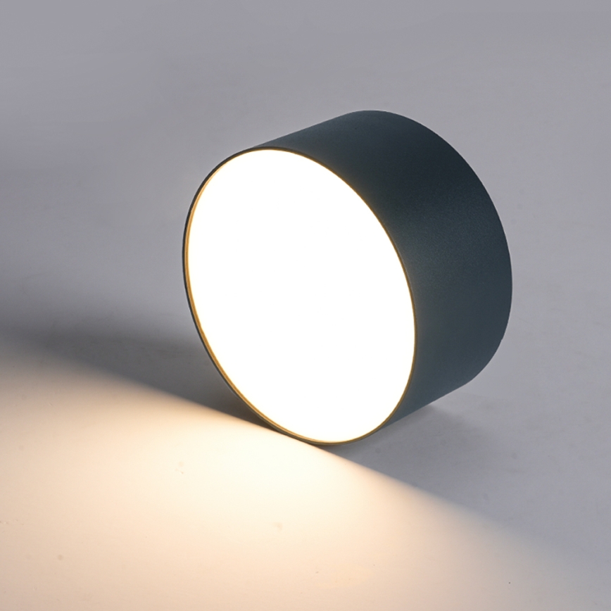 BRILAGI - LED vanjsko stropno svjetlo FORIS LED/20W/230V promjer 15 cm antracit IP44