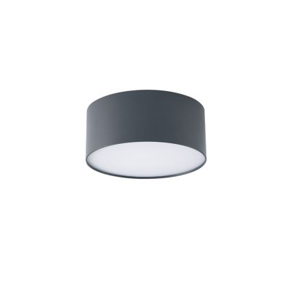 BRILAGI - LED vanjsko stropno svjetlo FORIS LED/20W/230V promjer 15 cm antracit IP44