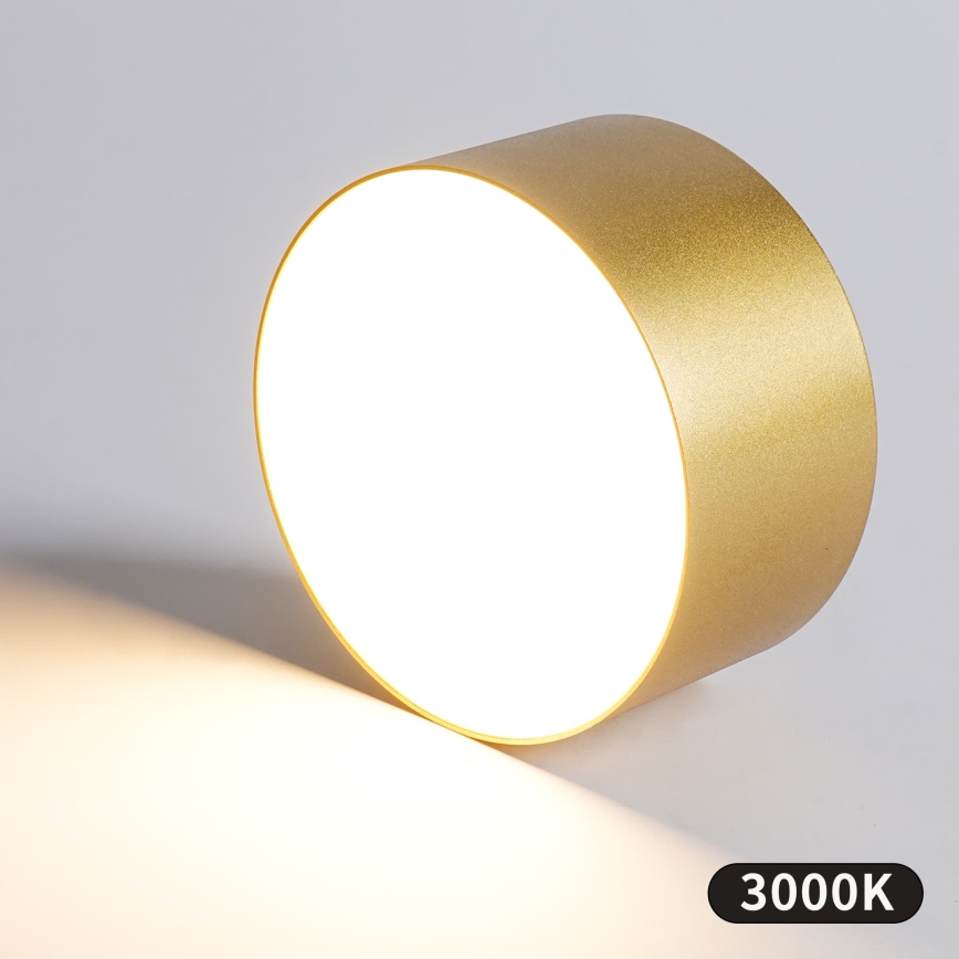 BRILAGI - LED Vanjsko stropno svjetlo FORIS LED/20W/230V Ø 15 cm zlatno IP44