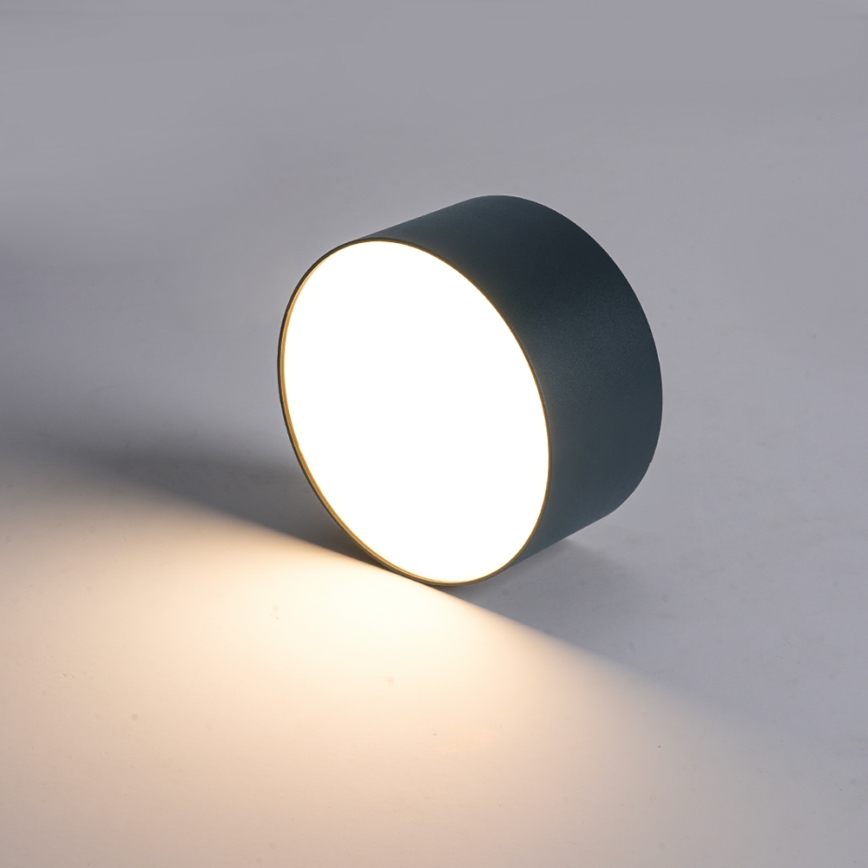 BRILAGI - LED Vanjska stropna svjetiljka FORIS LED/9W/230V Ø 9 cm antracit IP44