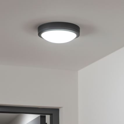 Brilagi - LED vanjsko stropno svjetlo LED/20W/230V promjer 23 cm IP54 antracit