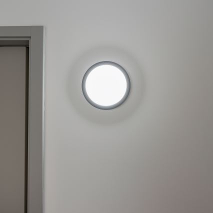 Brilagi - LED vanjsko stropno svjetlo LED/20W/230V promjer 23 cm IP54 antracit