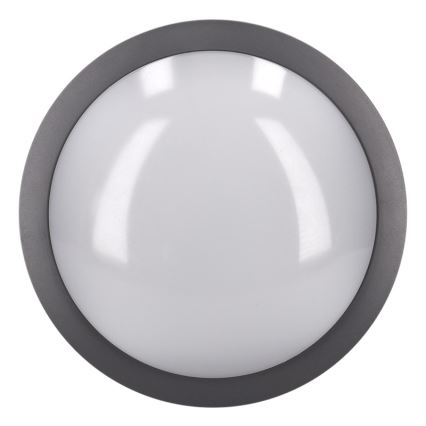 Brilagi - LED vanjsko stropno svjetlo LED/20W/230V promjer 23 cm IP54 antracit