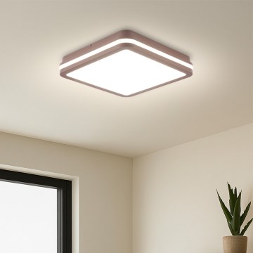 Brilagi - LED vanjsko stropno svjetlo s senzorom BENE LED/24W/230V 26x26 cm smeđa IP54