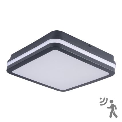 Brilagi - LED vanjska svjetiljka s detektorom pokreta BENE LED/24W/230V 26x26 cm antracit IP54