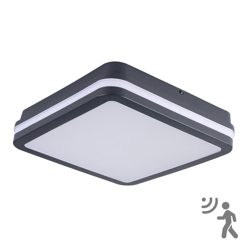 Brilagi - LED vanjska svjetiljka s detektorom pokreta BENE LED/24W/230V 26x26 cm antracit IP54