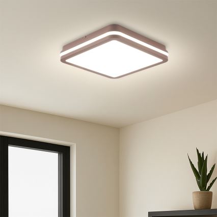 Brilagi - LED vanjsko stropno svjetlo s senzorom BENE LED/24W/230V 26x26 cm smeđe IP54