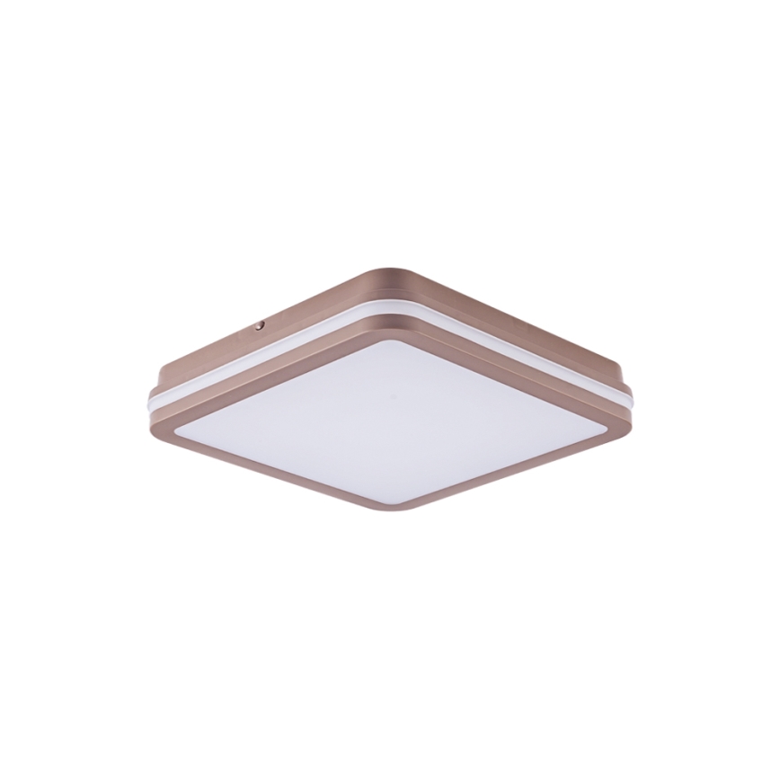Brilagi - LED vanjsko stropno svjetlo s senzorom BENE LED/24W/230V 26x26 cm smeđe IP54