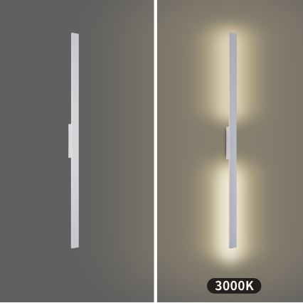 Brilagi - LED vanjsko zidno svjetlo LUNA LED/24W/230V 3000K IP65 100 cm bijelo CRI 90