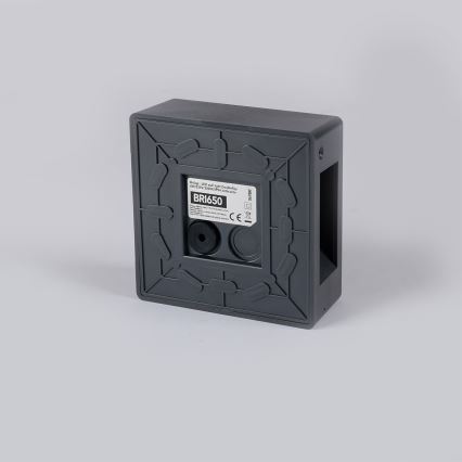 Brilagi - LED vanjsko zidno svjetlo DOUBLERAY LED/6W/230V antracit IP54