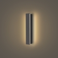 Brilagi - LED vanjsko zidno svjetlo LINEAR LED/8W/230V 3000K IP65 30 cm antracit