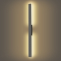 Brilagi - LED vanjsko zidno svjetlo LUNA LED/24W/230V 3000K IP65 100 cm antracit