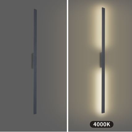 Brilagi - LED vanjsko zidno svjetlo LUNA LED/30W/230V 4000K IP65 150 cm antracit CRI 90