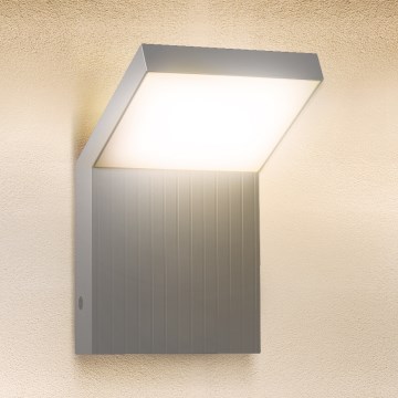 Brilagi - LED vanjsko zidno svjetlo RIANO LED/8W/230V srebrno IP65
