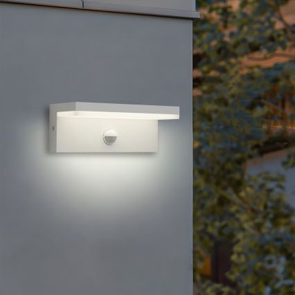 Brilagi - LED vanjsko zidno svjetlo sa senzorom TESSI LED/10W/230V bijela IP54