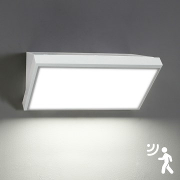 Brilagi - LED vanjsko zidno svjetlo s senzorom TRIANGLE LED/20W/230V bijelo IP65