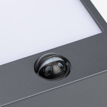 Brilagi - LED vanjsko zidno svjetlo sa senzorom TERNI LED/12W/230V antracit IP44